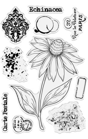 Crafter's Companion Floral Collage Clear Stamp & Mask Exquisite Echinacea (CC-CA-ST-EXECH)