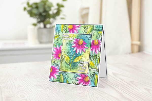 Crafter's Companion Floral Collage Clear Stamp & Mask Exquisite Echinacea (CC-CA-ST-EXECH)