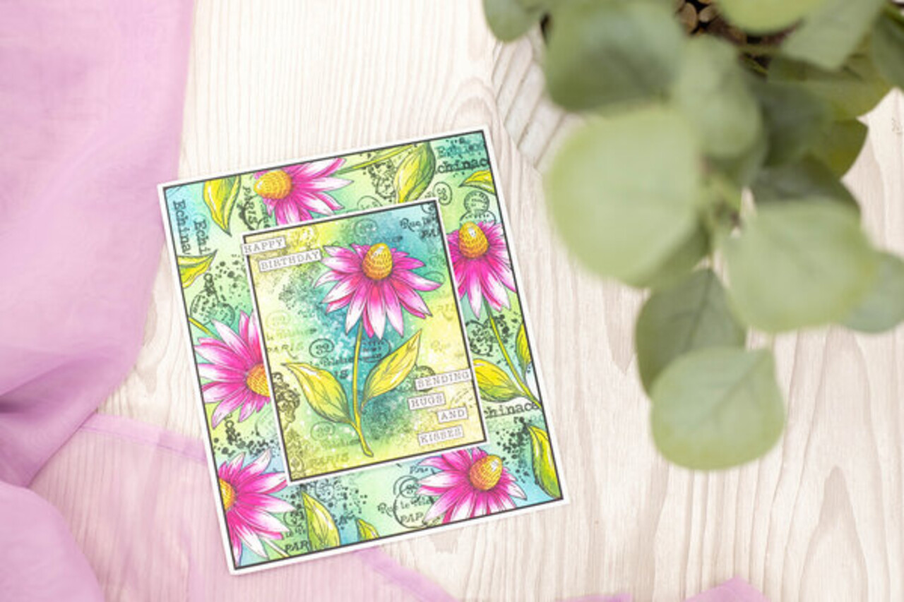 Crafter's Companion Floral Collage Clear Stamp & Mask Exquisite Echinacea (CC-CA-ST-EXECH)