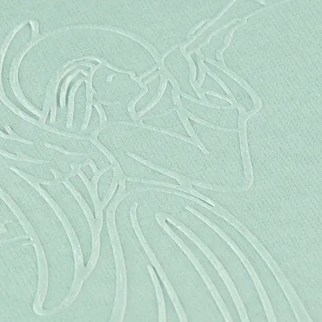 Vaessen Creative Embossing Folder Engel (100605-157) Vaessen Creative Embossing Folder Engel (100605-157)