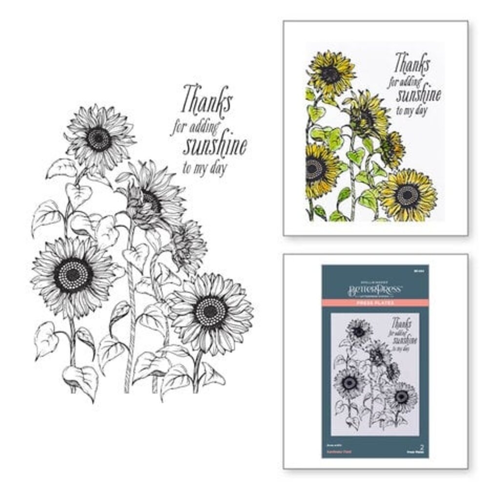 Spellbinders Serenade of Autumn Sunflower Field Press Plate (BP-094)