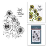 Spellbinders Serenade of Autumn Sunflower Field Press Plate (BP-094)