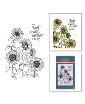 Spellbinders Serenade of Autumn Sunflower Field Press Plate (BP-094)