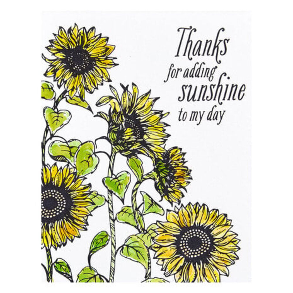 Spellbinders Serenade of Autumn Sunflower Field Press Plate (BP-094)