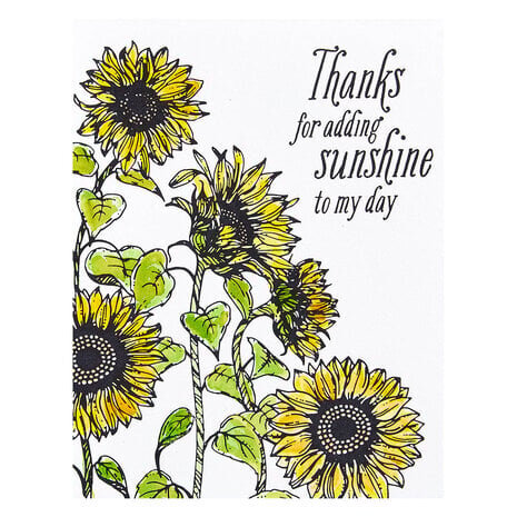 Spellbinders Serenade of Autumn Sunflower Field Press Plate (BP-094)