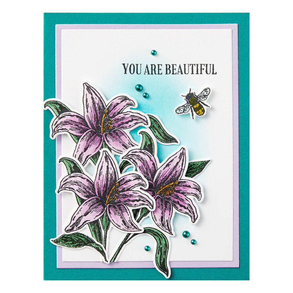 Spellbinders Beautiful Blooms  Dies (S7-243)