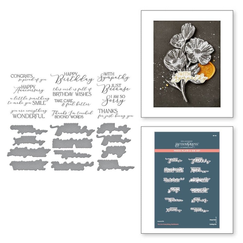 Spellbinders Pressed Posies You are Everything Sentiments Press Plate & Die Set (BP-110) Spellbinders Pressed Posies You are Everything Sentiments Press Plate & Die Set (BP-110)