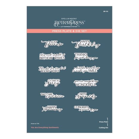 Spellbinders Pressed Posies You are Everything Sentiments Press Plate & Die Set (BP-110) Spellbinders Pressed Posies You are Everything Sentiments Press Plate & Die Set (BP-110)