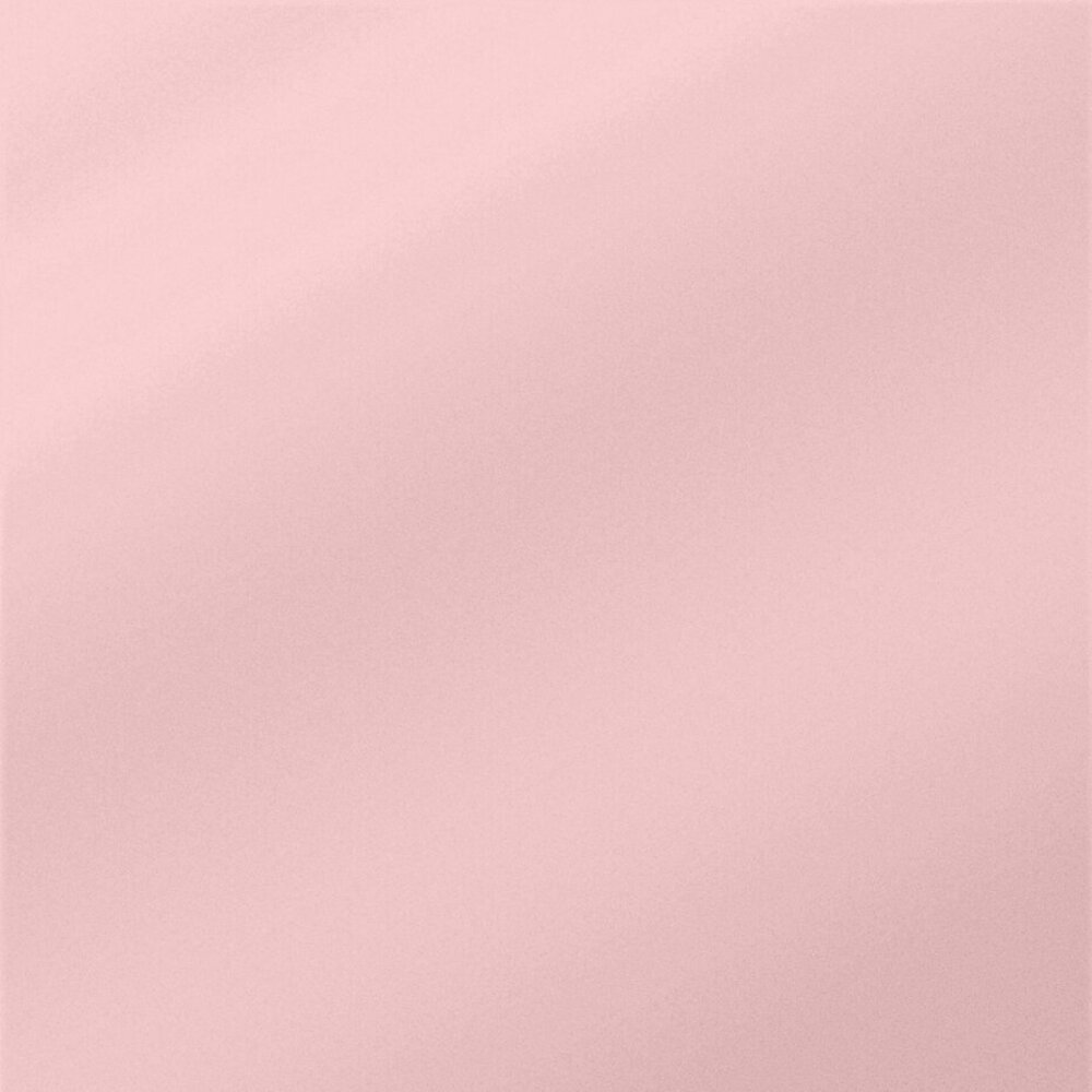 Crafter's Companion Floral Elegance 12x12 Inch Pearl Paper Pad (S-FE-PPAD12) Crafter's Companion Floral Elegance 12x12 Inch Pearl Paper Pad (S-FE-PPAD12)