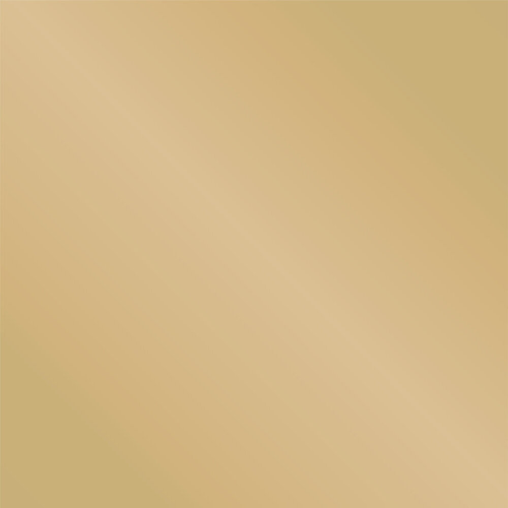 Crafter's Companion Floral Elegance 12x12 Inch Mirror & Matt Mirror Card Pad (S-FE-MMP12) Crafter's Companion Floral Elegance 12x12 Inch Mirror & Matt Mirror Card Pad (S-FE-MMP12)