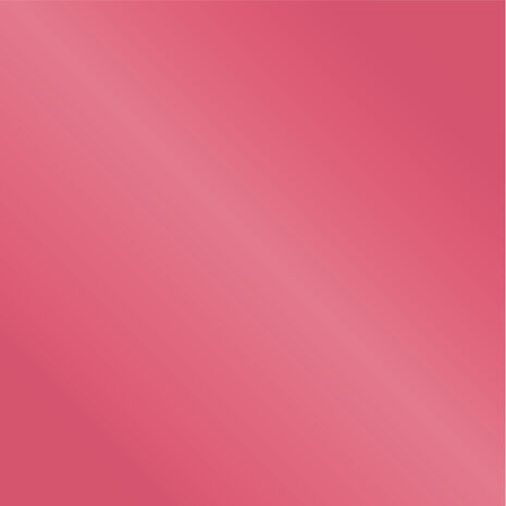 Crafter's Companion Floral Elegance 12x12 Inch Mirror & Matt Mirror Card Pad (S-FE-MMP12) Crafter's Companion Floral Elegance 12x12 Inch Mirror & Matt Mirror Card Pad (S-FE-MMP12)