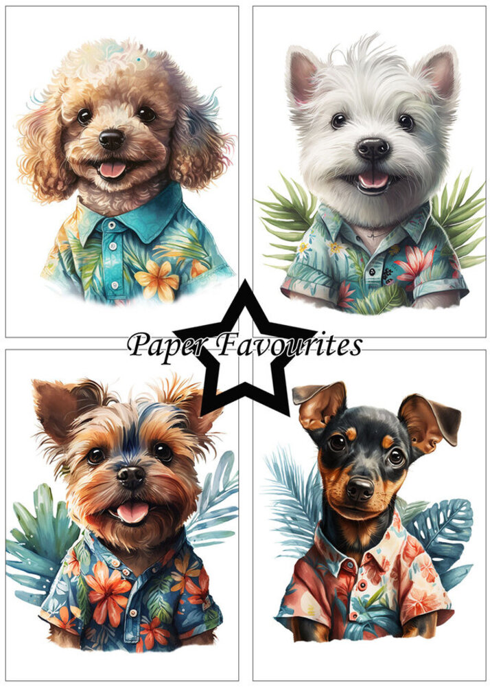 Paper Favourites Summer Dogs A5 Paper Pack (PFA119) Paper Favourites Summer Dogs A5 Paper Pack (PFA119)