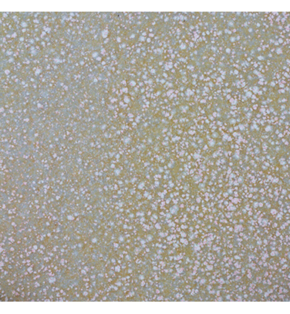 WOW! Dappled Peach Embossing Powder (WL102X) WOW! Dappled Peach Embossing Powder (WL102X)