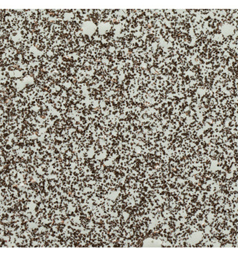 WOW! Copper Glimmer Embossing Powder (WS378X) WOW! Copper Glimmer Embossing Powder (WS378X)