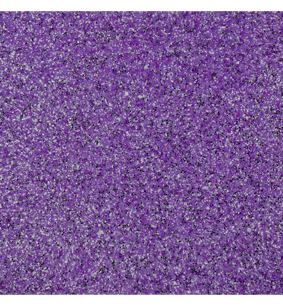 WOW! Grape Fizz Embossing Powder (WS382R) WOW! Grape Fizz Embossing Powder (WS382R)