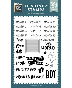 Echo Park Special Delivery Baby Boy Baby Boy Stats Clear Stamps (SDB353046)