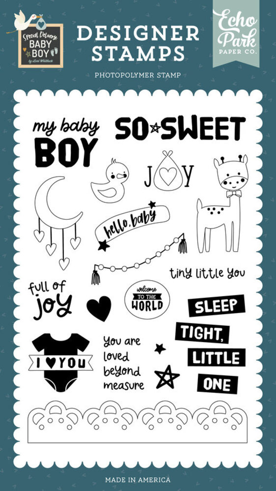Echo Park Special Delivery Baby Boy Full Of Joy Clear Stamps (SDB353047)