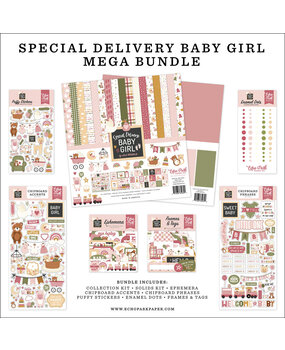 Echo Park Special Delivery Baby Girl 12x12 Inch Mega Bundle (SDG354050)