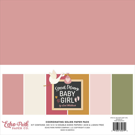 Echo Park Special Delivery Baby Girl 12x12 Inch Mega Bundle (SDG354050)