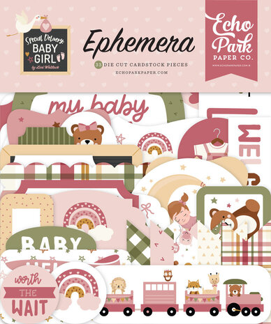 Echo Park Special Delivery Baby Girl 12x12 Inch Mega Bundle (SDG354050)