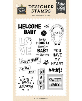 Echo Park Special Delivery Baby Baby Blocks Clear Stamps (SDY355045) Echo Park Special Delivery Baby Baby Blocks Clear Stamps (SDY355045)