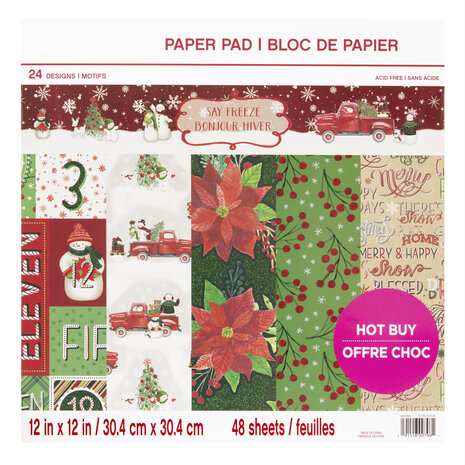 Craft Smith Say Freeze 12x12 Inch Paper Pad (MSE4851) Craft Smith Say Freeze 12x12 Inch Paper Pad (MSE4851)
