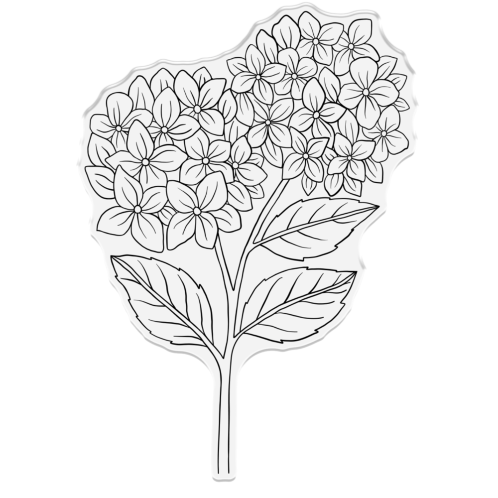 Crafter's Companion Hydrangea Clear Stamp Hydrangea (NG-HY-CA-ST-HYD) Crafter's Companion Hydrangea Clear Stamp Hydrangea (NG-HY-CA-ST-HYD)
