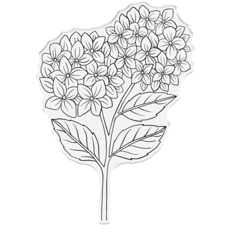 Crafter's Companion Hydrangea Clear Stamp Hydrangea (NG-HY-CA-ST-HYD) Crafter's Companion Hydrangea Clear Stamp Hydrangea (NG-HY-CA-ST-HYD)