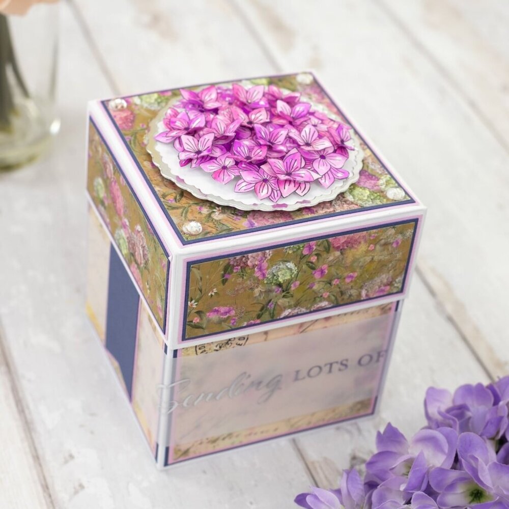 Crafter's Companion Hydrangea Stamp & Die Statement Hydrangea (NG-HY-STD-STH) Crafter's Companion Hydrangea Stamp & Die Statement Hydrangea (NG-HY-STD-STH)