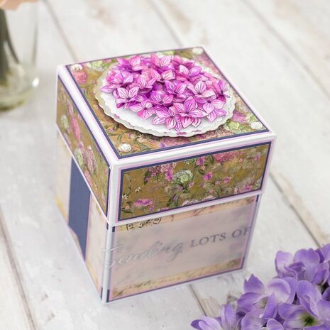 Crafter's Companion Hydrangea Stamp & Die Statement Hydrangea (NG-HY-STD-STH) Crafter's Companion Hydrangea Stamp & Die Statement Hydrangea (NG-HY-STD-STH)