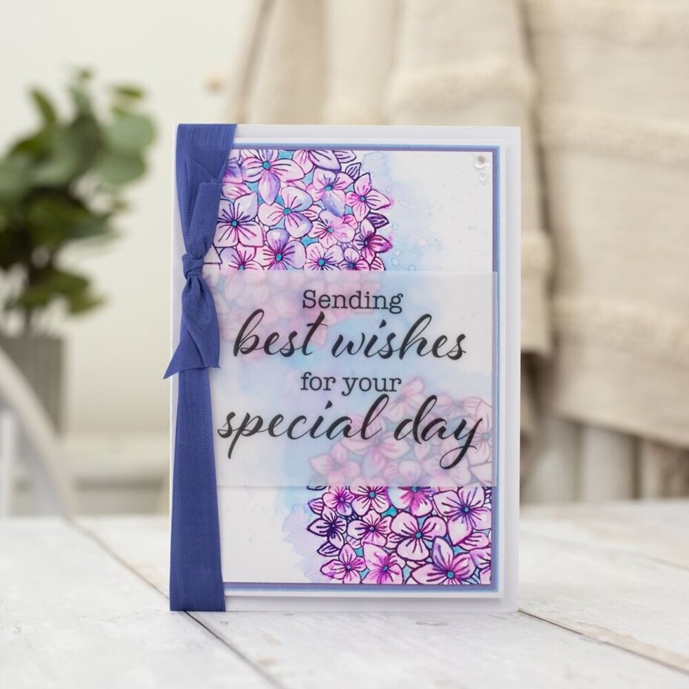 Crafter's Companion Hydrangea Dew Drops (NG-HY-DDRO) Crafter's Companion Hydrangea Dew Drops (NG-HY-DDRO)