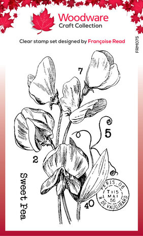 Woodware Sweet Pea Clear Stamps (FRM075) Woodware Sweet Pea Clear Stamps (FRM075)