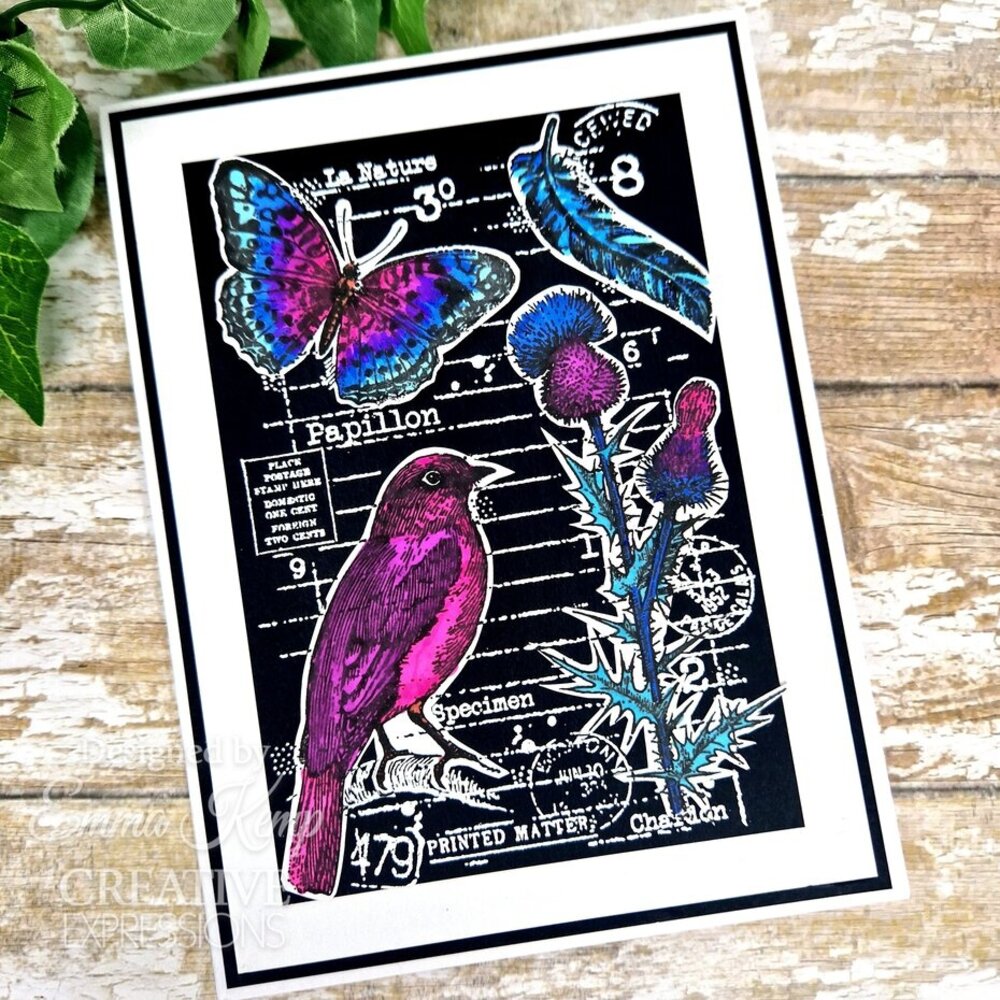 Woodware Nature Page Clear Stamps (FRS1033)