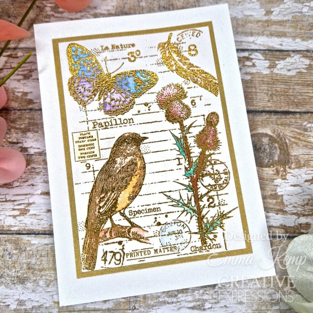 Woodware Nature Page Clear Stamps (FRS1033)