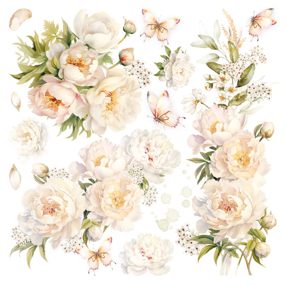 Ciao Bella Papercrafting Always & Forever 6x6 Inch Vellum Paper (CBVQ014) Ciao Bella Papercrafting Always & Forever 6x6 Inch Vellum Paper (CBVQ014)