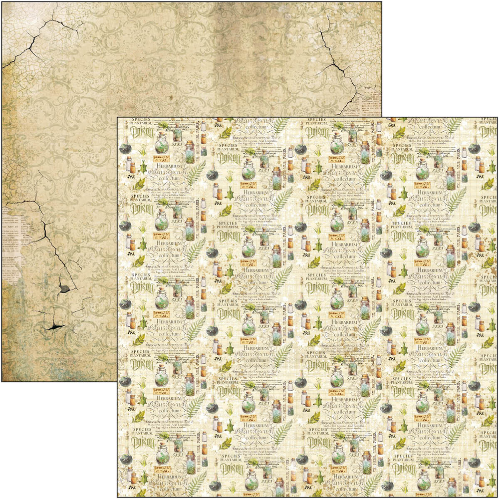 Ciao Bella Papercrafting Wizard Academy 12x12 Inch Patterns Pad (CBT071) Ciao Bella Papercrafting Wizard Academy 12x12 Inch Patterns Pad (CBT071)