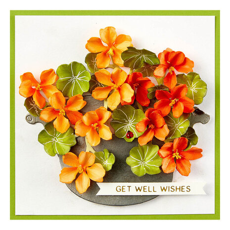 Spellbinders Through the Arbor Garden Nasturtium and Galvanized Wash Bucket Dies (S5-615)