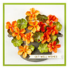 Spellbinders Through the Arbor Garden Nasturtium and Galvanized Wash Bucket Dies (S5-615) Spellbinders Through the Arbor Garden Nasturtium and Galvanized Wash Bucket Dies (S5-615)