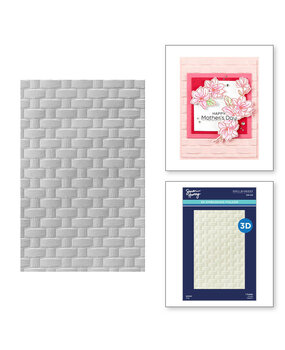 Spellbinders Spring Sampler Woven 3D Embossing Folder (E3D-080)