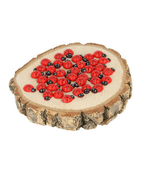 Make by Me! Lieveheersbeestjes Hout 40 st (LB.203) Make by Me! Lieveheersbeestjes Hout 40 st (LB.203)