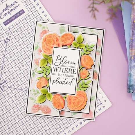 Crafter's Companion Blooming Roses 3D Embossing Folder, Stamp & DIe (GEM-3DEF5-MD-STP-BR)