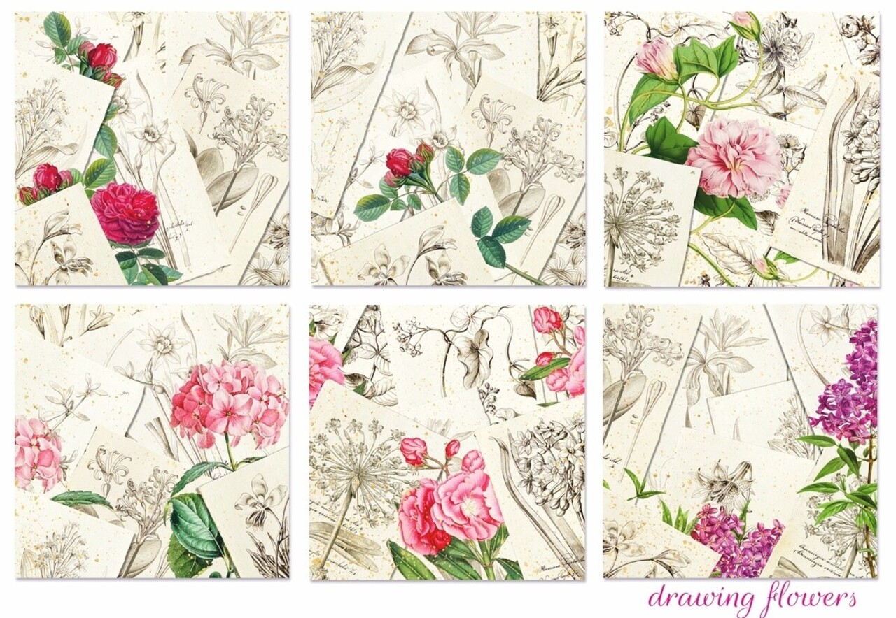 Decorer Drawing Flowers 8x8 Inch Paper Pack (DECOR-B43-441) Decorer Drawing Flowers 8x8 Inch Paper Pack (DECOR-B43-441)