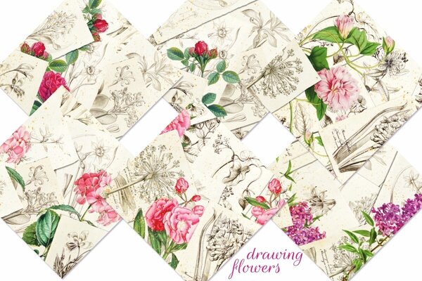 Decorer Drawing Flowers 8x8 Inch Paper Pack (DECOR-B43-441) Decorer Drawing Flowers 8x8 Inch Paper Pack (DECOR-B43-441)