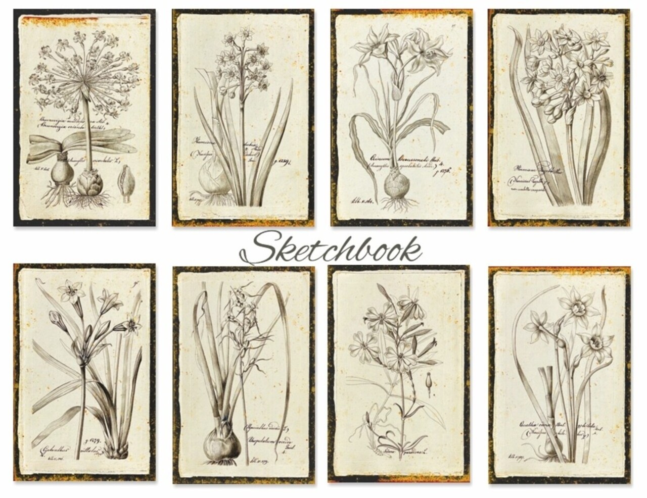 Decorer Sketchbook Paper Pack (7x10,8cm) (DECOR-M140)