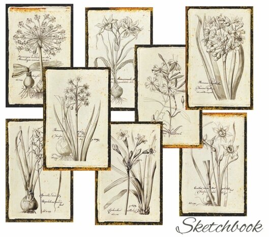 Decorer Sketchbook Paper Pack (7x10,8cm) (DECOR-M140)