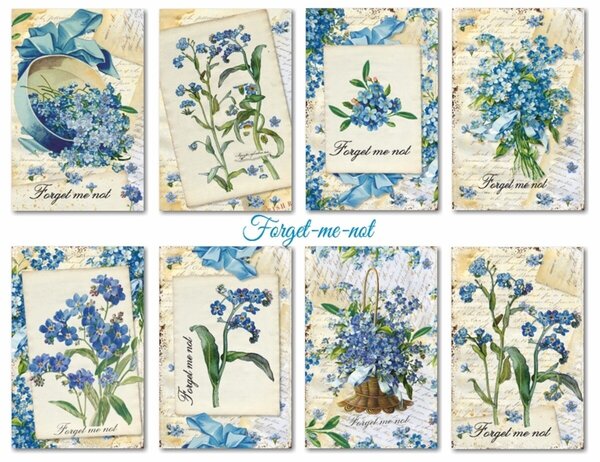 Decorer Forget-me-not Paper Pack (7x10,8cm) (DECOR-M145) Decorer Forget-me-not Paper Pack (7x10,8cm) (DECOR-M145)
