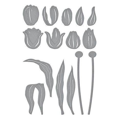 Spellbinders Tulip Garden Snijmal Tulip Trio (S6-234) Spellbinders Tulip Garden Snijmal Tulip Trio (S6-234)