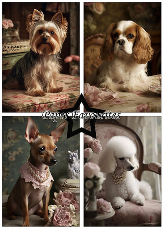 Paper Favourites Shabby Dogs A5 Paper Pack (PFA126)