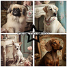 Paper Favourites Shabby Dogs 6x6 Inch Paper Pack (PF282) Paper Favourites Shabby Dogs 6x6 Inch Paper Pack (PF282)