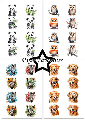 Paper Favourites Cute Animals A5 Paper Pack (PFA127)